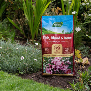 Westland Fish, Blood & Bone Meal Helps Build Soil Fertility 8kg Bag