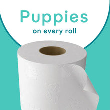 Load image into Gallery viewer, Andrex Toilet Rolls Coconut Fresh x45 2 Ply Toilet Tissue Paper