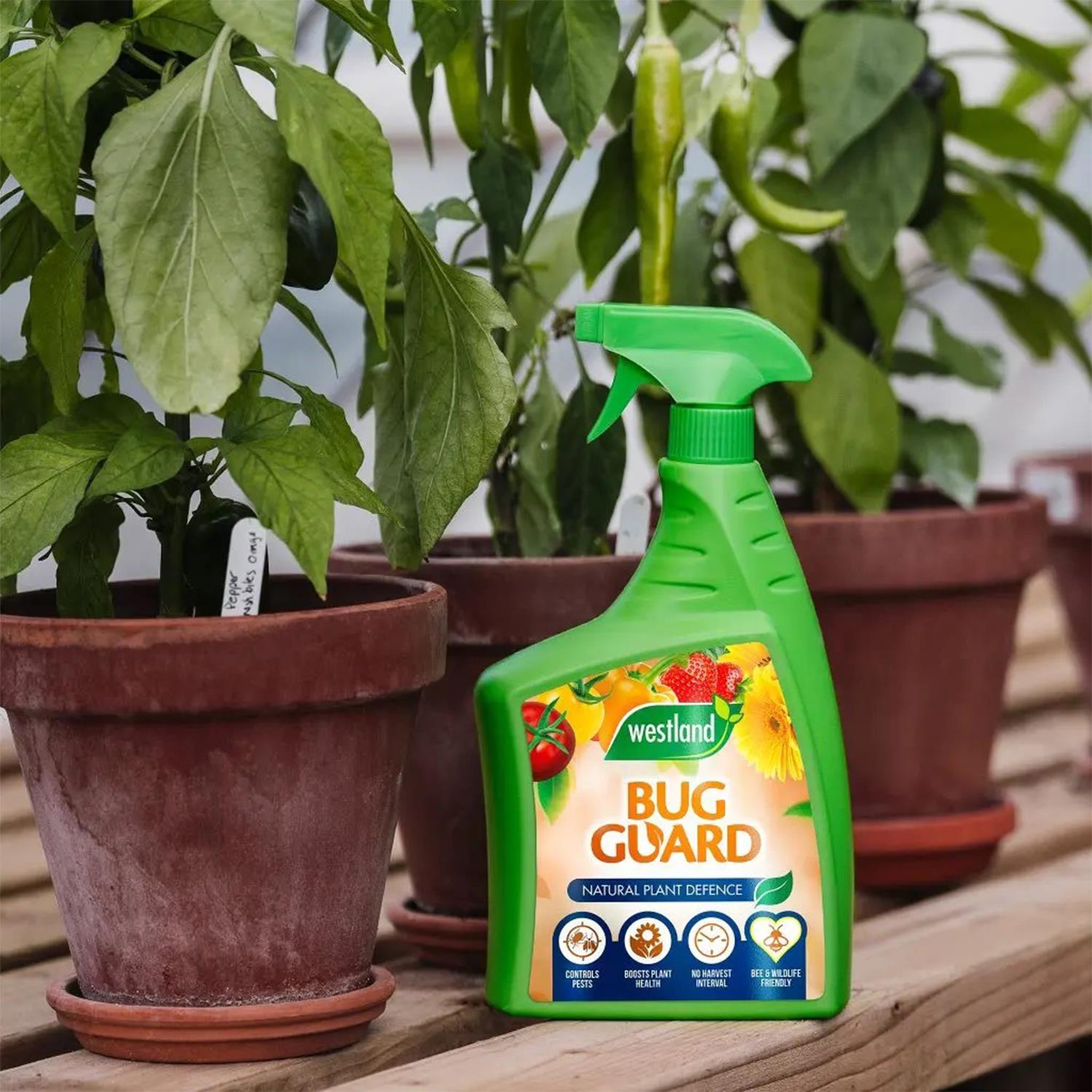 Westland Bug Guard RTU Improves Plant's Natural Defences, 800ml – Avant ...