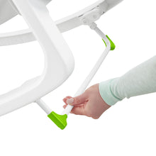 Load image into Gallery viewer, Fisher-Price Infant-to-Toddler Rocker