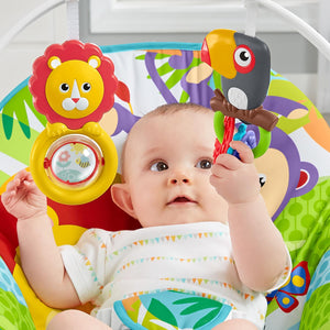 Fisher-Price Infant-to-Toddler Rocker