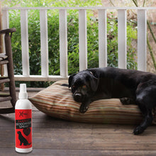 Load image into Gallery viewer, Xpel Fabric Pet Deodoriser Spray for Pet Bedding &amp; Household Fabrics , 250ml