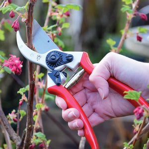 Spear & Jackson Bypass Secateurs, Professional Heavy Duty Razorsharp Garden Tool