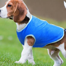 Load image into Gallery viewer, PMS Crufts High-quality easy on and off Small Pet Cooling Vest