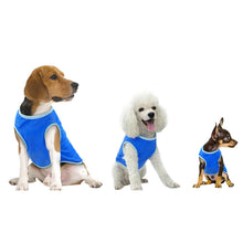 Load image into Gallery viewer, PMS Crufts High-quality easy on and off Small Pet Cooling Vest