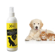 Load image into Gallery viewer, Xpel Deodoriser Citrus Refreshing Spray for Dogs, 250ml