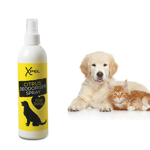 Xpel Deodoriser Citrus Refreshing Spray for Dogs, 250ml