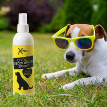 Load image into Gallery viewer, Xpel Deodoriser Citrus Refreshing Spray for Dogs, 250ml