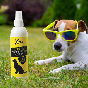 Xpel Deodoriser Citrus Refreshing Spray for Dogs, 250ml