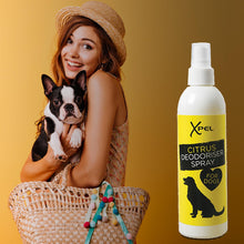 Load image into Gallery viewer, Xpel Deodoriser Citrus Refreshing Spray for Dogs, 250ml