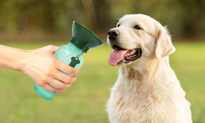 Crufts Travel Water Bottle