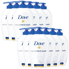 Load image into Gallery viewer, Dove Caring Hand Wash for Moisturised and protected Hands , 250ml