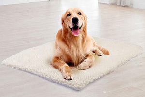 Magic Pet Thermal Heating Bed