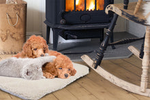 Load image into Gallery viewer, Magic Pet Thermal Heating Bed