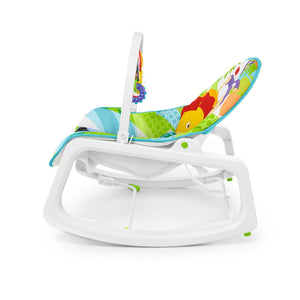 Fisher-Price Infant-to-Toddler Rocker